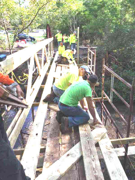 Bridge Building